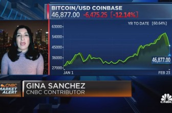 Gina Sanchez: Bitcoin is a perfect symptom of the excess money in the markets